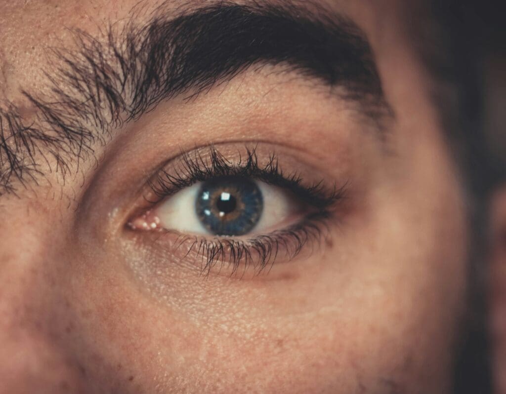 nano brows
